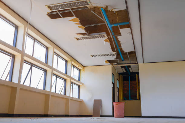 Best Sewage cleanup and water damage restoration  in Wauseon, OH