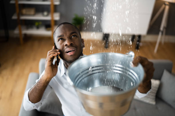 Best Commercial water damage restoration  in Wauseon, OH