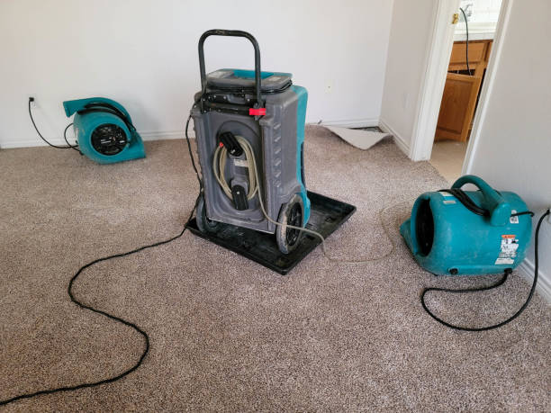 Best Water damage contractors near me  in Wauseon, OH