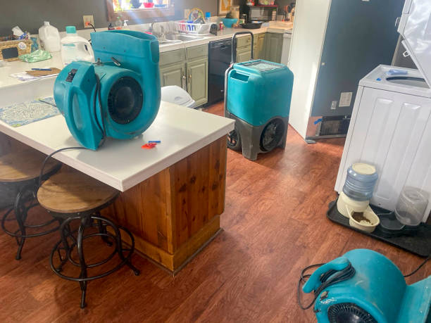 Water damage restoration insurance claims in Wauseon, OH