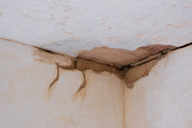 Trusted Wauseon, OH Water damage restoration Experts
