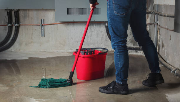 Best 24-hour water damage restoration  in Wauseon, OH