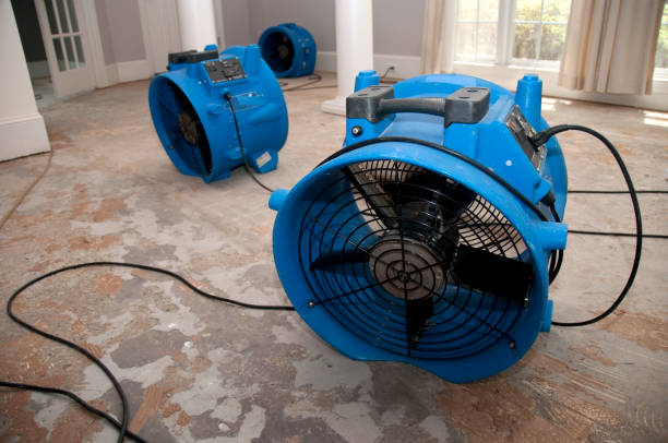 Best Water damage restoration near me  in Wauseon, OH