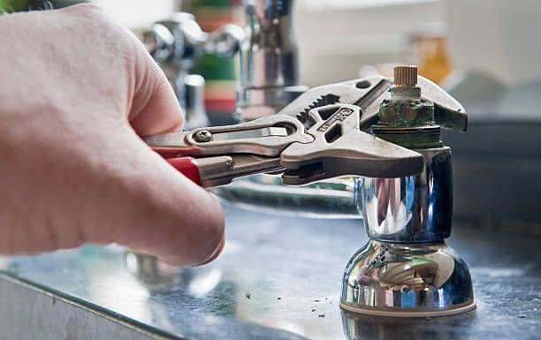 Best Flooded house restoration  in Wauseon, OH