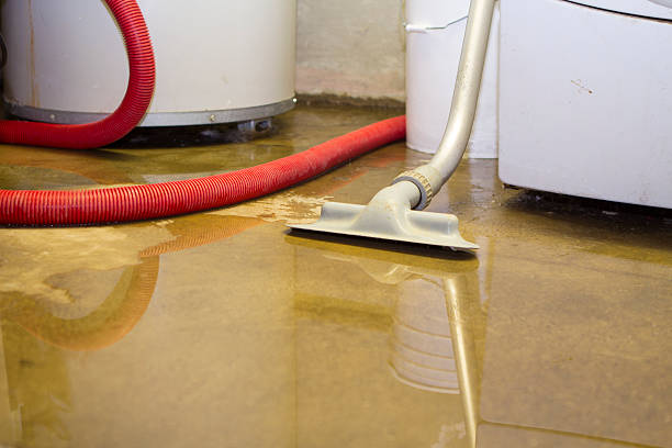 Best Fire Damage Restoration  in Wauseon, OH