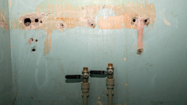 Best Flood restoration services  in Wauseon, OH