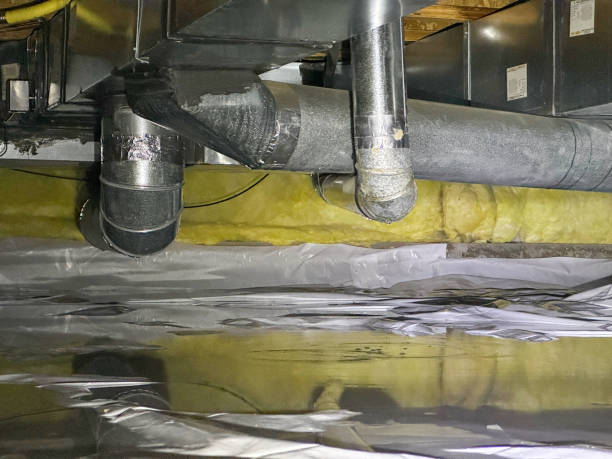 Best Water damage restoration near me  in Wauseon, OH