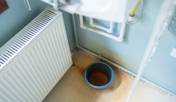 Best Professional water damage repair  in Wauseon, OH