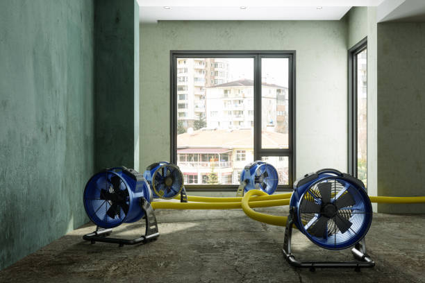 Best Sewage cleanup and water damage restoration  in Wauseon, OH