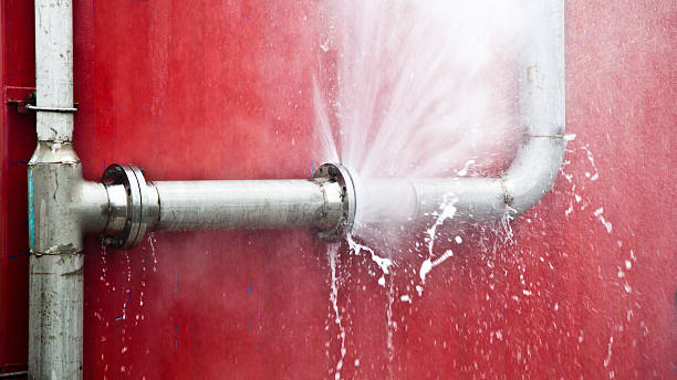 Best Mold removal after water damage  in Wauseon, OH
