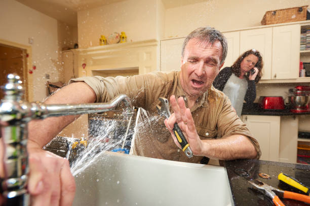 Best Commercial water damage restoration  in Wauseon, OH